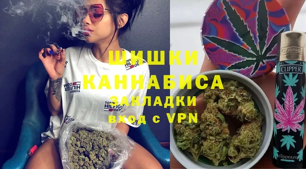 молекула духа Алексин