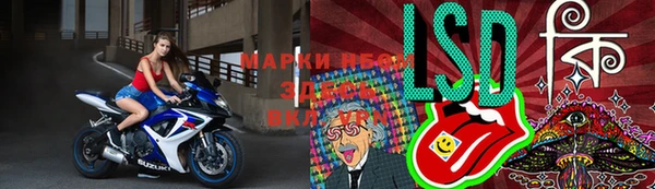 прущий лед Алзамай